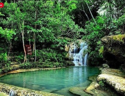 Air Terjun Ledok Pokoh Dlingo Bantul Yogyakarta