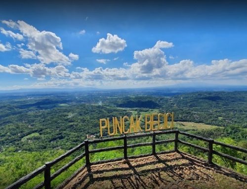Puncak Pinus Becici atau Puncak Becici Bantul Yogyakarta